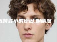 眼睛变小的原因,眼睛越来越小怎么恢复