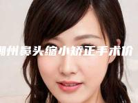 潮州鼻头缩小矫正手术价格上班族能否承受