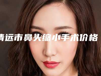 清远市鼻头缩小手术价格(价目)项目一览表-清远华美医疗整形美容医院得花多少钱