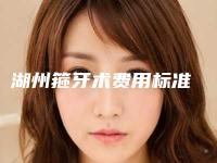 湖州箍牙术费用标准
