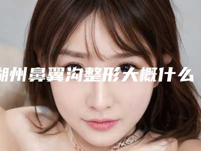 湖州鼻翼沟整形大概什么价格_湖州鼻翼沟整形的价格及影响因素