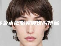 萍乡市肥脂瘦腰医院排名榜前十强各个口碑佳（萍乡市肥脂瘦腰整形医院）