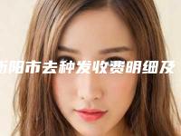 衡阳市去种发收费明细及热门项目分享-衡阳市去种发医院整形管用吗费用多少