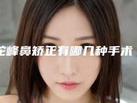 驼峰鼻矫正有哪几种手术方法（驼峰鼻型的怎整形）